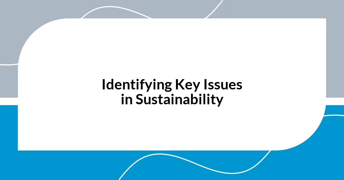 Identifying Key Issues in Sustainability