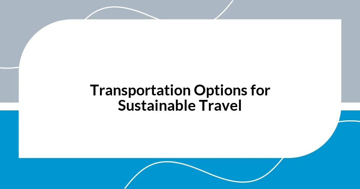 Transportation Options for Sustainable Travel