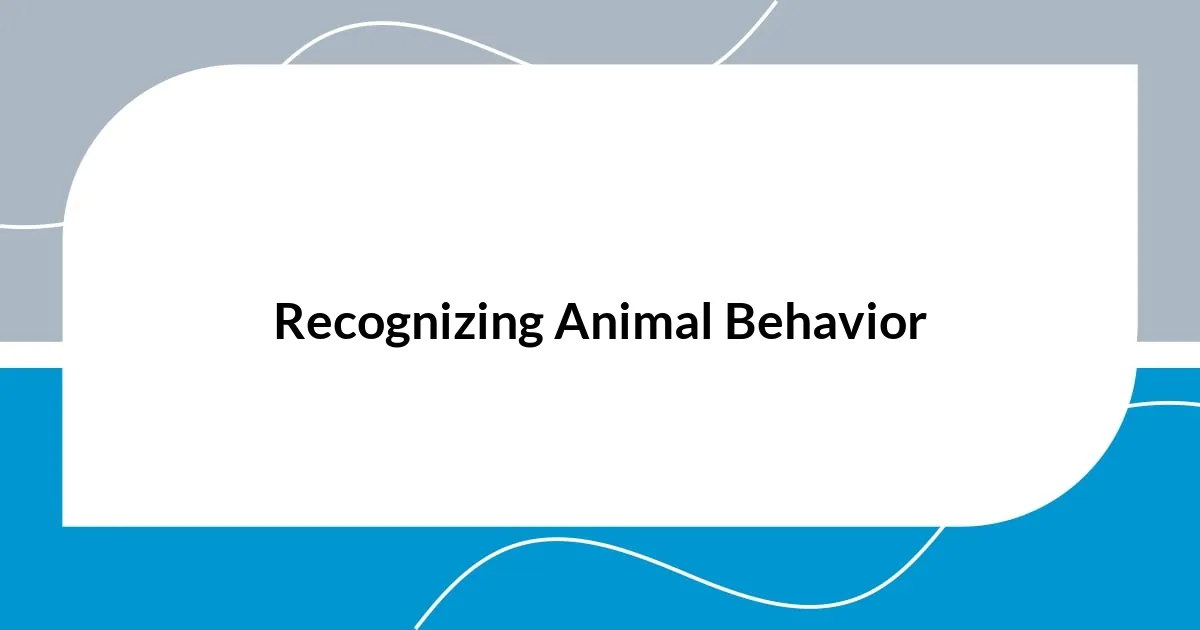 Recognizing Animal Behavior