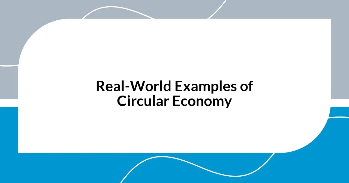 Real-World Examples of Circular Economy